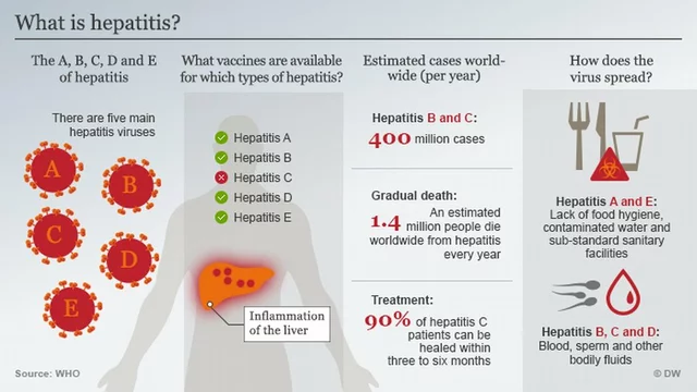 The use of azithromycin in treating hepatitis